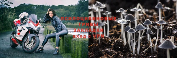 бутират Липки
