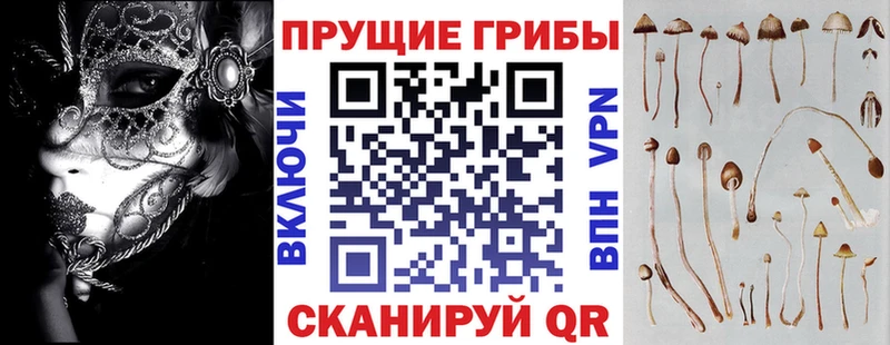 Галлюциногенные грибы ЛСД  Монино 